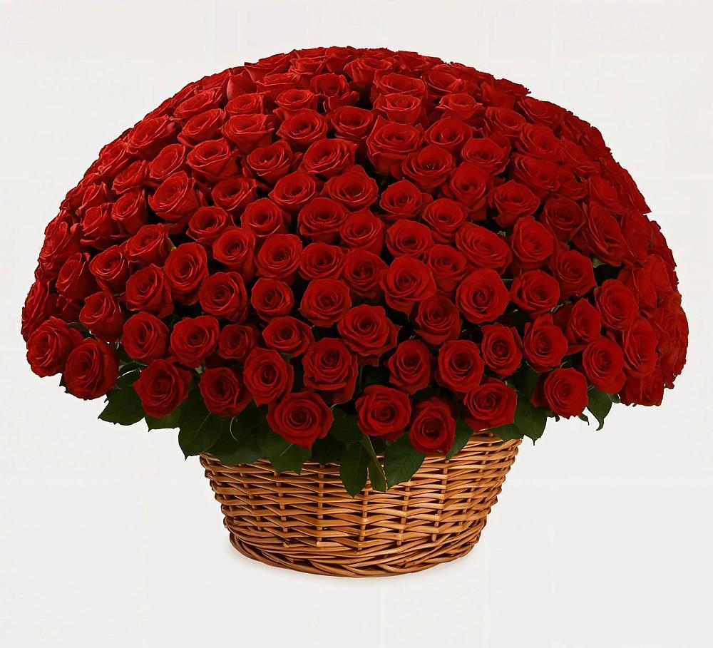 Премиум букет из: Розы в Медвенке