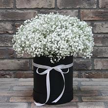 Цветочная композиция из Гипсофила в шляпной коробке в Медвенке
